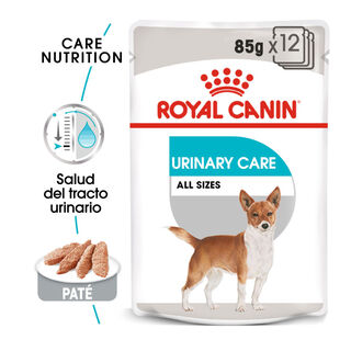 Royal Canin Urinary Care patê saqueta para cães
